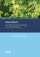 Fokus Baum 1