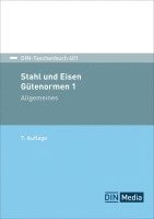 bokomslag Stahl und Eisen 1: Gütenormen