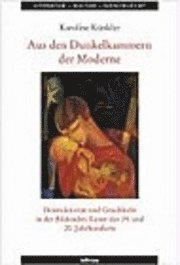 Karoline Künkler - Aus den Dunkelkammern der Moderne, Häftad