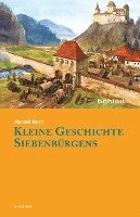 bokomslag Kleine Geschichte Siebenbrgens