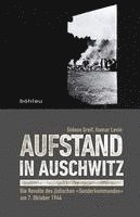 bokomslag Aufstand in Auschwitz: Die Revolte Des Judischen Sonderkommandos Am 7. Oktober 1944