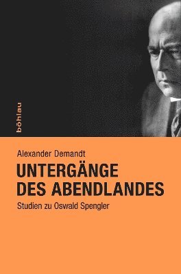 bokomslag Untergänge des Abendlandes