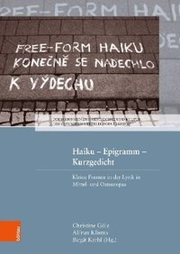 bokomslag Haiku -- Epigramm --Kurzgedicht