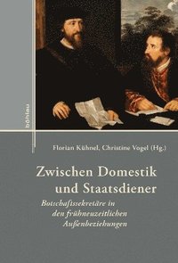 bokomslag Zwischen Domestik und Staatsdiener