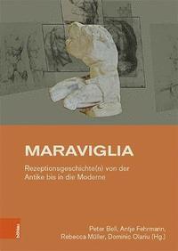 bokomslag Maraviglia