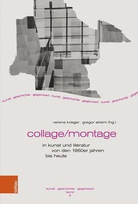 bokomslag Collage/Montage in Kunst Und Literatur Von Den 1960er Jahren Bis Heute