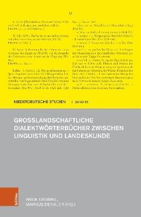 bokomslag Grosslandschaftliche Dialektworterbucher Zwischen Linguistik Und Landeskunde
