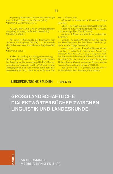 Antje Dammel, Markus Denkler - Großlandschaftliche Dialektwörterbücher zwischen Linguistik und Landeskunde, Inbunden