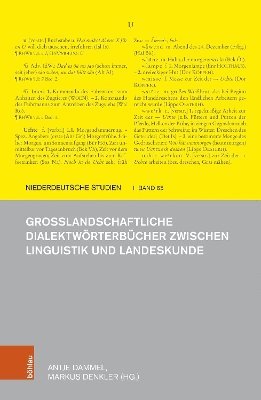 Antje Dammel, Markus Denkler - Großlandschaftliche Dialektwörterbücher zwischen Linguistik und Landeskunde, Inbunden