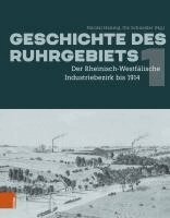 Nicolai Hannig, Ute Schneider - Geschichte Des Ruhrgebiets: Bd. 1: Der Rheinisch-Westfalische Industriebezirk Bis 1914, Inbunden