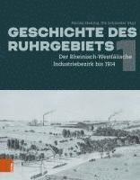 bokomslag Geschichte Des Ruhrgebiets: Bd. 1: Der Rheinisch-Westfalische Industriebezirk Bis 1914