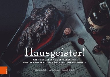 bokomslag Hausgeister!