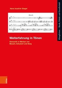 bokomslag Welterfahrung in Tonen: Semantik in Werken Von Mozart, Schubert Und Berg