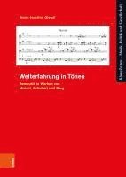 Welterfahrung in Tonen: Semantik in Werken Von Mozart, Schubert Und Berg 1