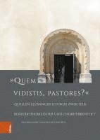 bokomslag Quem Vidistis, Pastores?: Quellen Ellwanger Liturgie Zwischen Benediktinerkloster Und Chorherrenstift