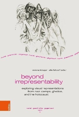bokomslag Beyond Irrepresentability