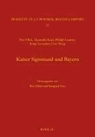 bokomslag Kaiser Sigismund und Bayern. Eine kollektive Monographie