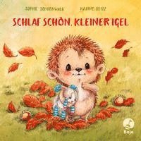 bokomslag Schlaf schön, kleiner Igel