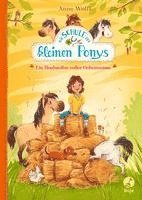 bokomslag Die Schule der kleinen Ponys - Ein Heuhaufen voller Geheimnisse