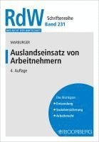 bokomslag Auslandseinsatz von Arbeitnehmern