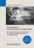 bokomslag Praxishandbuch Sexualisierte Gewalt gegen Kinder