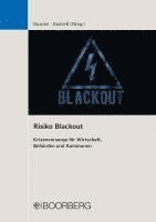 Florian Haacke, Christian Endreß - Risiko Blackout, Häftad