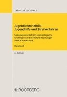 bokomslag Jugendkriminalität, Jugendhilfe und Strafverfahren