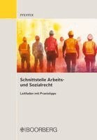 Julia Pfeffer - Schnittstelle Arbeits- und Sozialrecht, Häftad