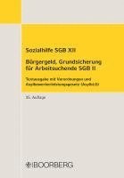 bokomslag Sozialhilfe SGB XII - Bürgergeld, Grundsicherung für Arbeitsuchende SGB II