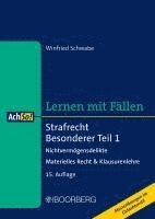 bokomslag Strafrecht Besonderer Teil 1