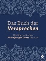 bokomslag Das Buch der Versprechen