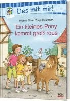 bokomslag Ein kleines Pony kommt groß raus