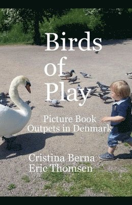 bokomslag Birds of Play Picturebook Outpets in Denmark