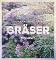 Gräser 1