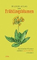 bokomslag Bilder-Atlas der Frühlingsblumen