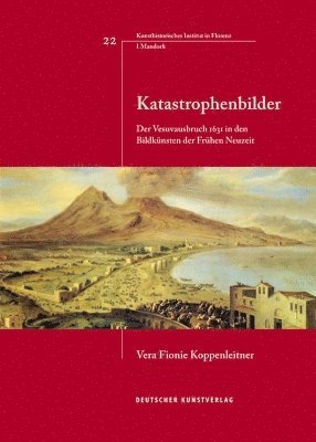 bokomslag Katastrophenbilder