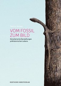 bokomslag Vom Fossil zum Bild