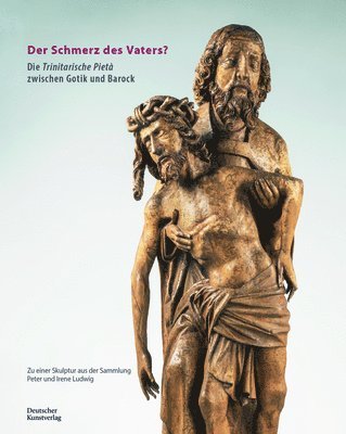 bokomslag Der Schmerz Des Vaters?