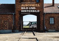 bokomslag Auschwitz. Bild Und Hinterbild