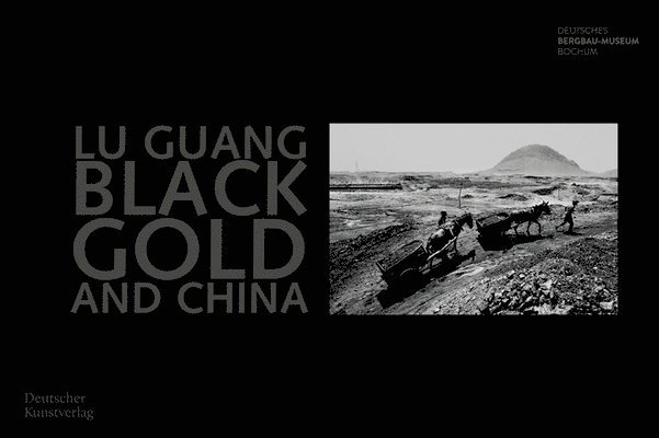 Lu Guang. Black Gold and China 1