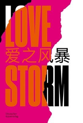 bokomslag LOVE STORM