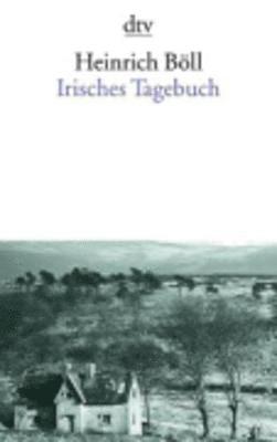 bokomslag Irisches Tagebuch