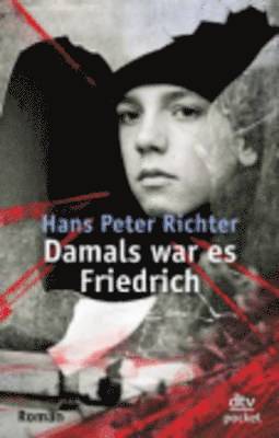 Hans Peter Richter - Damals war es Friedrich, Häftad