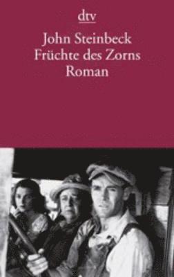bokomslag Früchte des Zorns