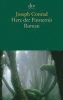 bokomslag Herz der Finsternis