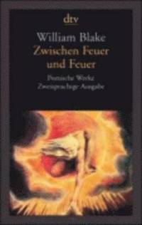 bokomslag Zwischen Feuer und Feuer