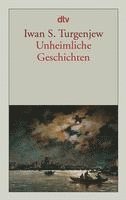 Iwan S. Turgenjew - Unheimliche Geschichten, Häftad