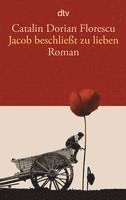 bokomslag Jacob beschließt zu lieben