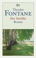 Theodor Fontane, Helmuth Nürnberger - Der Stechlin, Häftad
