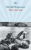 Michel Bergmann - Alles was war, Häftad